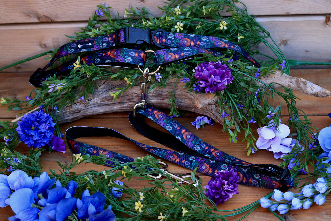 Hands Free Leash (4ft - Floral 2)