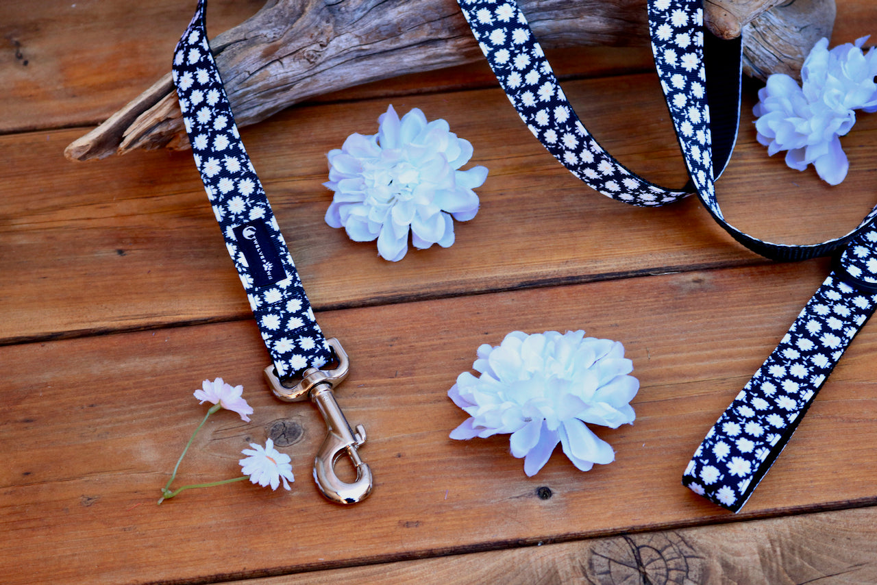 5ft Daisy Leash