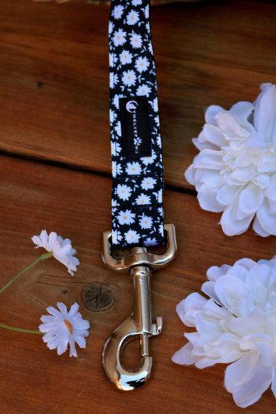 5ft Daisy Leash